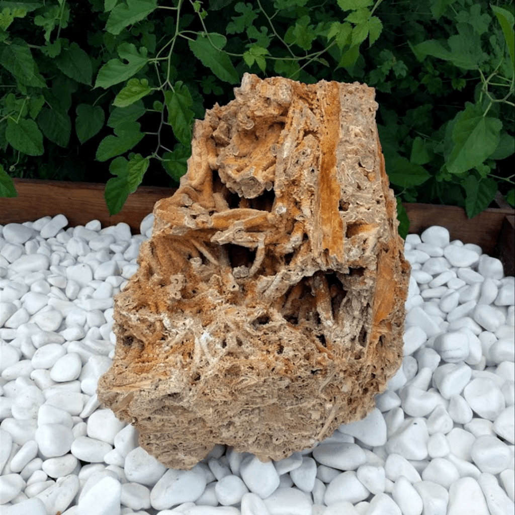 Компанія Garden Stones рада презентувати відвідувачам весняної експозиції Inter Build Expo 2020 стильні та екологічні рішення для дизайну інтер'єру та ландшафту Компанія Garden Stones рада презентувати відвідувачам весняної експозиції Inter Build Expo 2020 стильні та екологічні рішення для дизайну інтер'єру та ландшафту